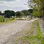 בית חווה Monte Do Lago, Pegões
