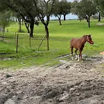 בית חווה Monte Do Lago, Pegões