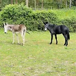בית חווה Monte Do Lago, Pegões