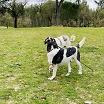 Monte Do Lago, בית חווה *