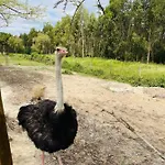 Monte Do Lago, בית חווה *
