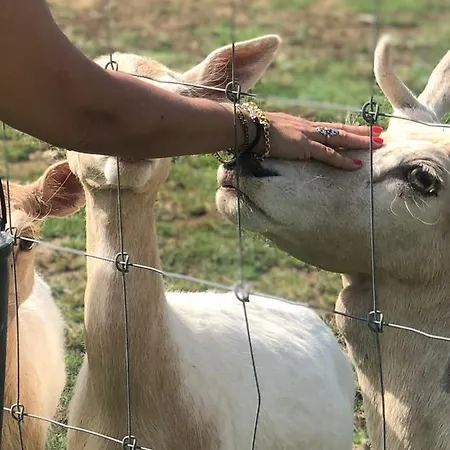 בית חווה Monte Do Lago,