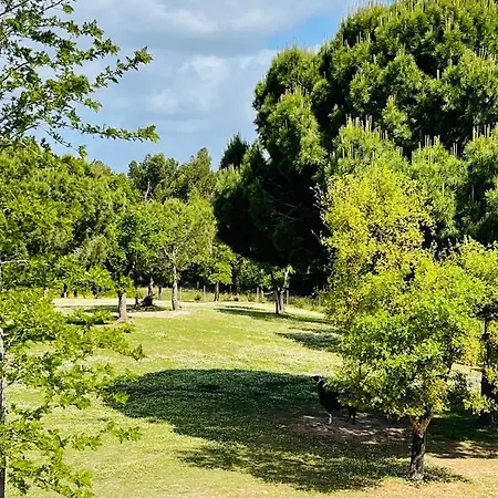 Monte Do Lago, مزرعة للإقامة Pegões