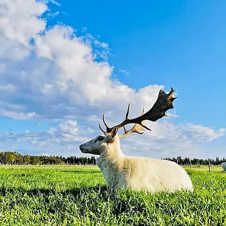 팜스테이 Monte Do Lago,