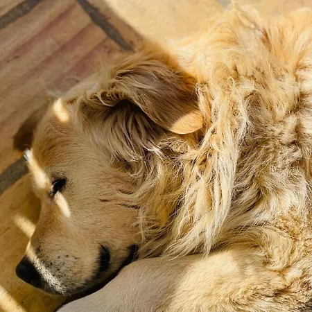 Monte Do Lago, 팜스테이 페고즈