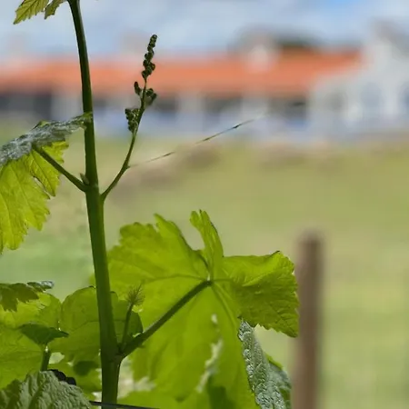 팜스테이 Monte Do Lago, 페고즈