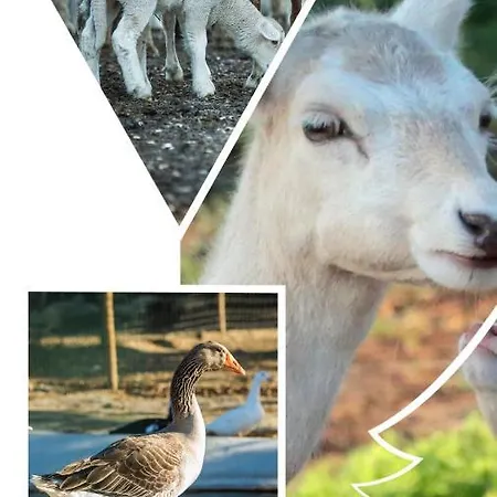 팜스테이 Monte Do Lago,