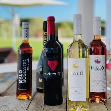 팜스테이 Monte Do Lago, *