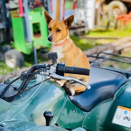 Monte Do Lago, Agroturismo *