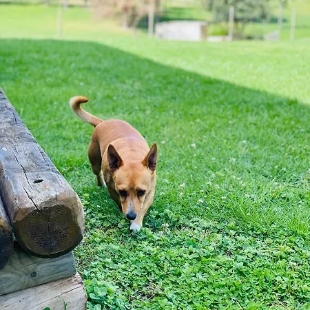 Monte Do Lago, 팜스테이