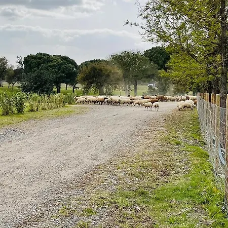 팜스테이 Monte Do Lago, 페고즈