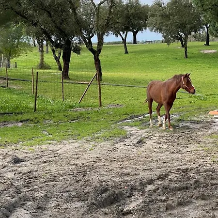 팜스테이 Monte Do Lago, 페고즈