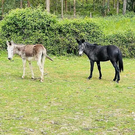 Agroturismo Monte Do Lago, Pegões