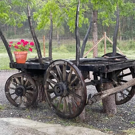 Monte Do Lago, Agroturismo