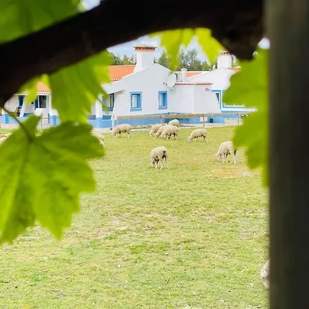 مزرعة للإقامة Monte Do Lago, Pegões
