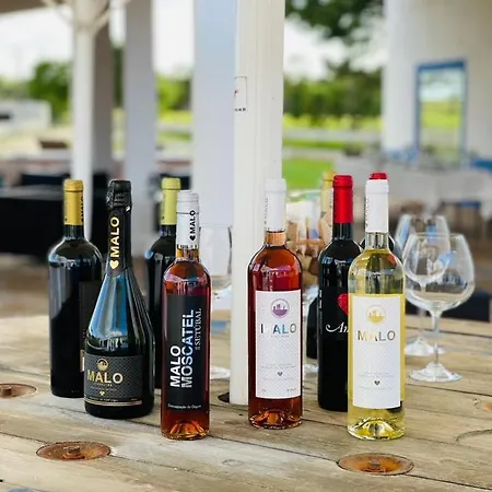 팜스테이 Monte Do Lago, 페고즈