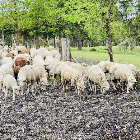 Monte Do Lago, Pegões