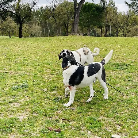 Monte Do Lago, Agroturismo *