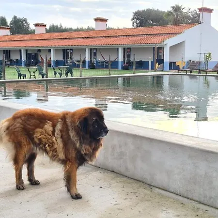 Monte Do Lago, Farm stay