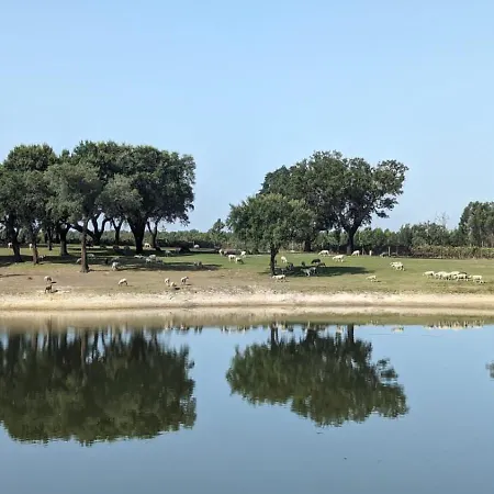 Monte Do Lago, 페고즈