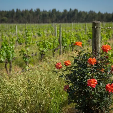Alojamento de Turismo Rural Monte Do Lago, Pegões