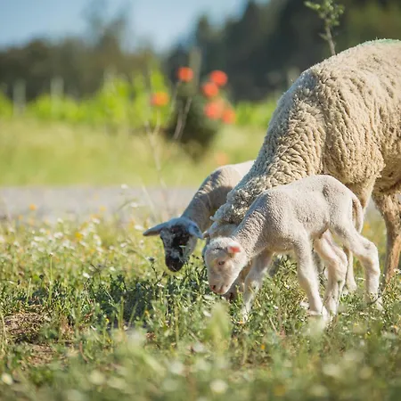 Monte Do Lago, Bauernhof
