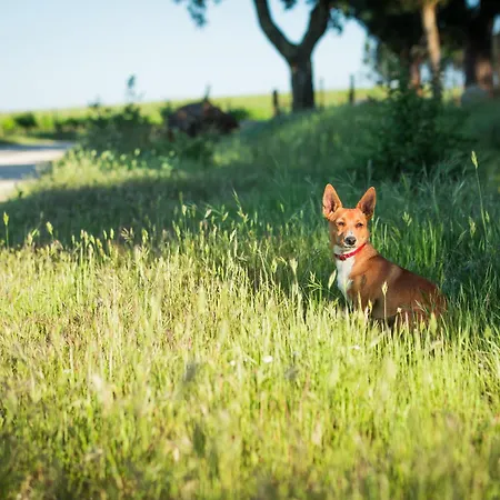 Monte Do Lago, * 페고즈