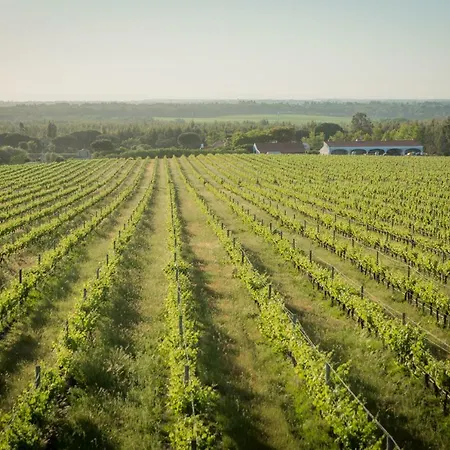 Alojamento de Turismo Rural Monte Do Lago, *