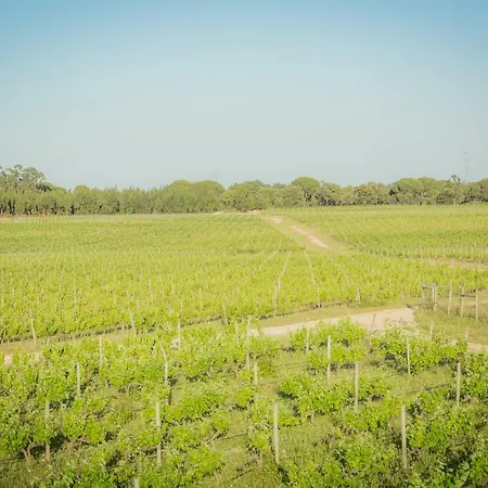 팜스테이 Monte Do Lago, 페고즈