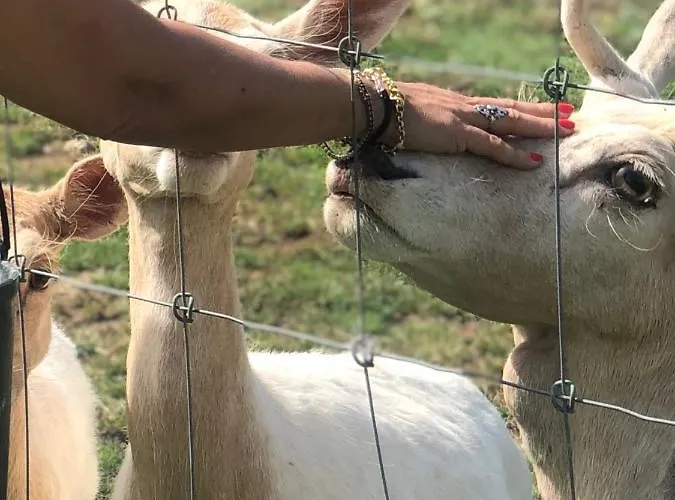 Farm stay Monte Do Lago,