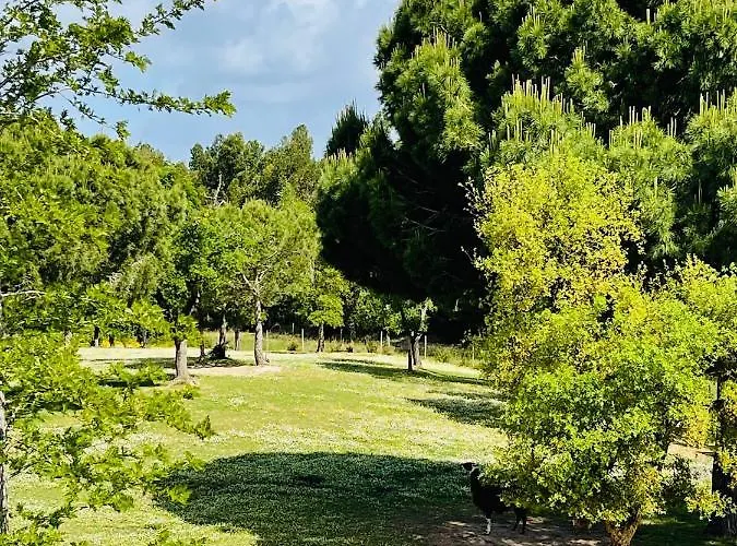 Monte Do Lago, Farma Pegões