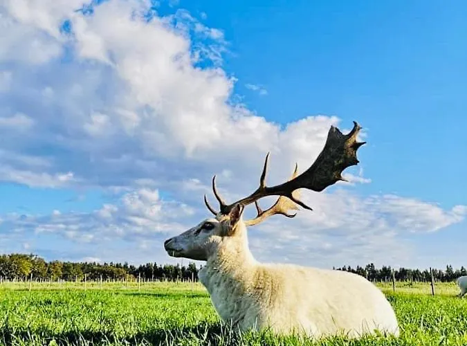 Alloggio per agriturismo Monte Do Lago,
