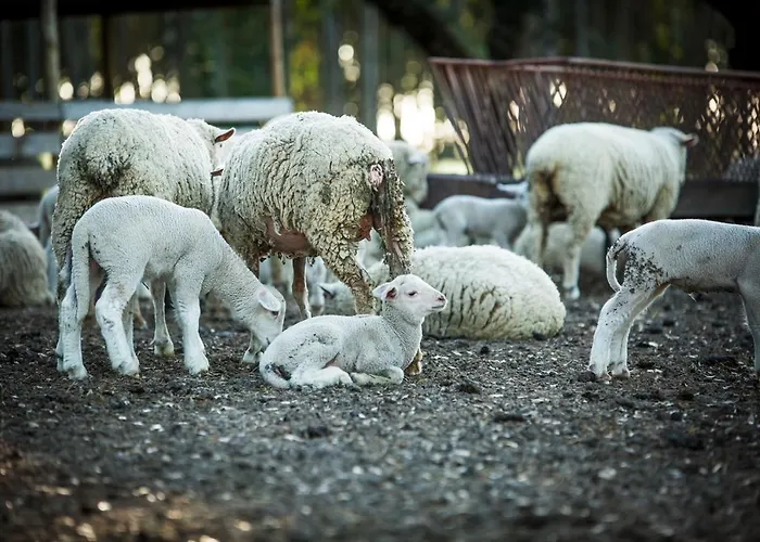 Monte Do Lago, Alloggio per agriturismo *
