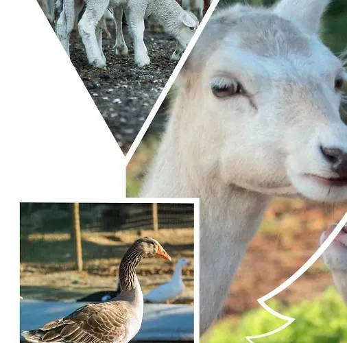 Alloggio per agriturismo Monte Do Lago,