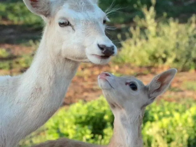 Alloggio per agriturismo Monte Do Lago, *