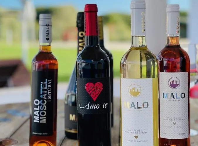 Alloggio per agriturismo Monte Do Lago, *