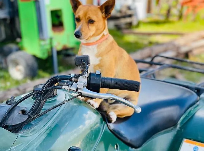 Monte Do Lago, Alloggio per agriturismo *