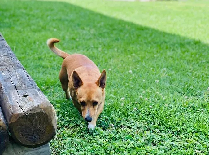 Monte Do Lago, Alloggio per agriturismo