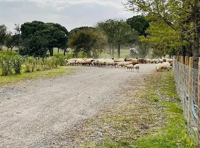 Alloggio per agriturismo Monte Do Lago, Pegões