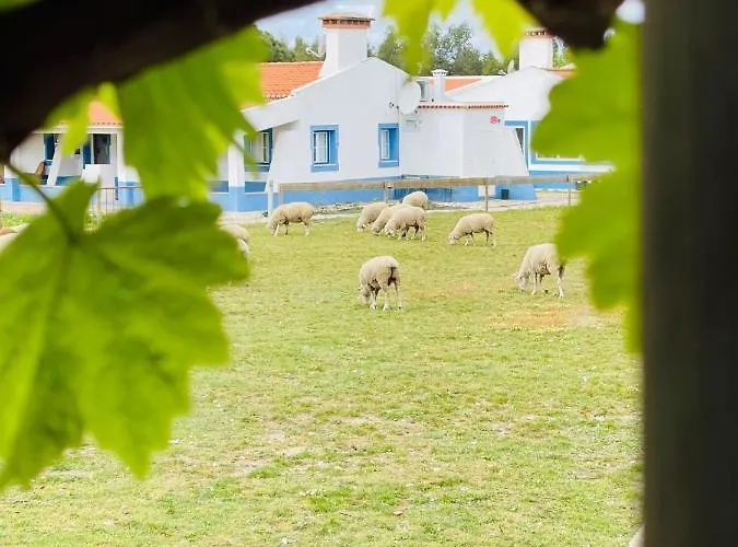 Alloggio per agriturismo Monte Do Lago, Pegões