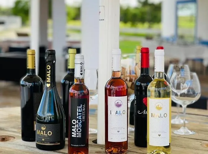 Alloggio per agriturismo Monte Do Lago, Pegões