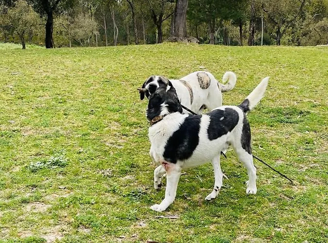 Monte Do Lago, Alloggio per agriturismo *