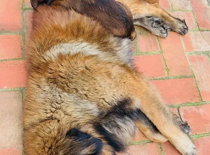 Monte Do Lago, Alloggio per agriturismo *