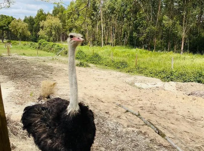 Monte Do Lago, Alloggio per agriturismo *