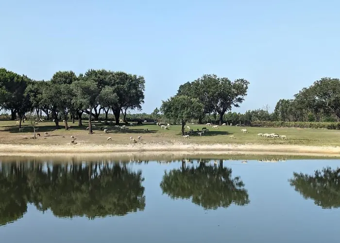 Monte Do Lago, Pegões