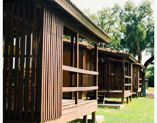 Monte Do Lago, * Pegões