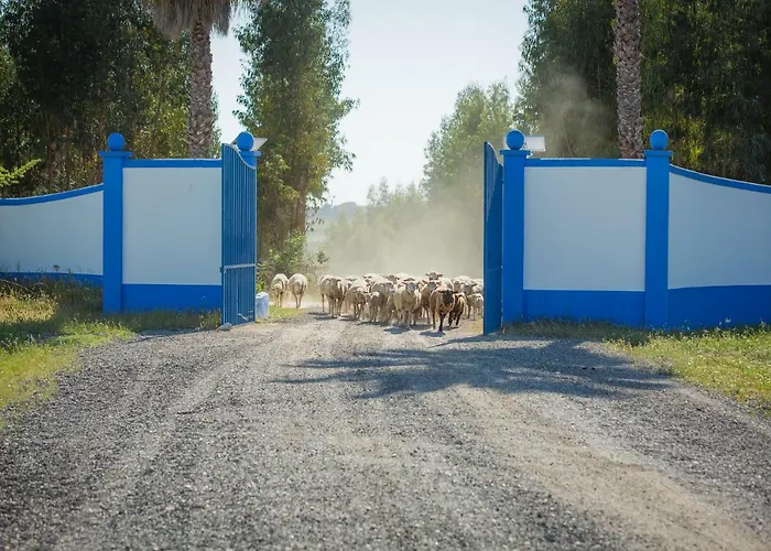 Monte Do Lago, Farma