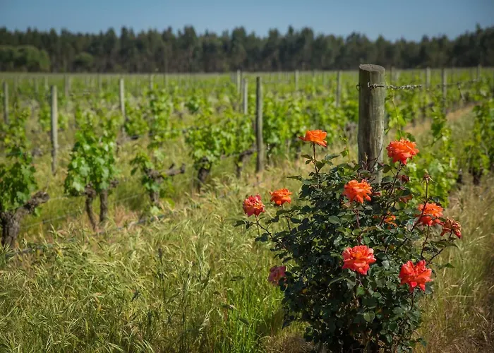 Alloggio per agriturismo Monte Do Lago, Pegões