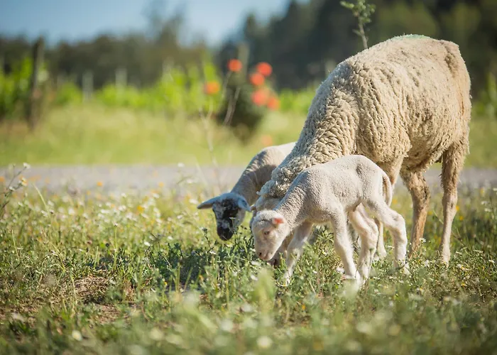 Monte Do Lago, Alloggio per agriturismo