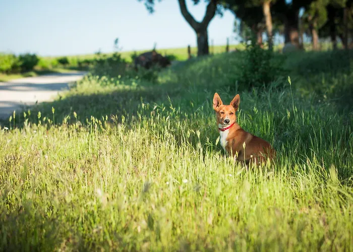 Monte Do Lago, * Pegões